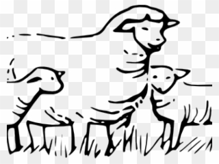Clipart Black And White Sheep - Png Download