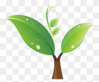 Seedling Tree Clip Art - Portable Network Graphics - Png Download