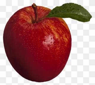 Apple Fruit Images Transparent - Apple Png Clipart