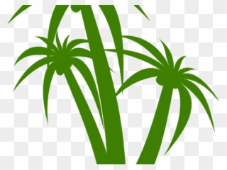 Palm Tree Clipart Green - Palm Tree Clip Art - Png Download