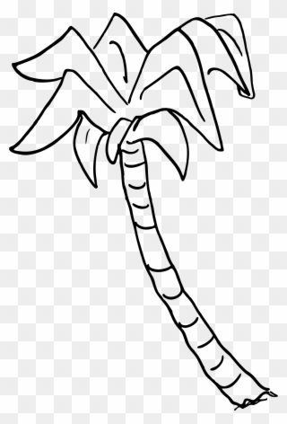 Clipart - Drawing Of Palm Tree In Png Transparent Png