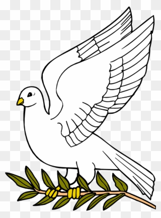 The Conflict In Gaza In A Nutshell - Dove With Olive Leaf Clipart