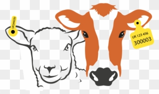 Clip Tag Cattle - Öküz Kafası - Png Download