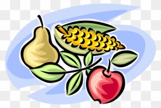 Vector Illustration Of Fall Or Autumn Harvest Fruit Clipart