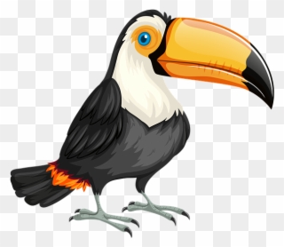 Download Transparent Png - Toucan Clipart