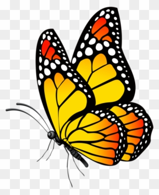 Butterfly Clip Art, Butterfly Drawing, Butterfly Painting, - Butterfly Images Hd Png Transparent Png
