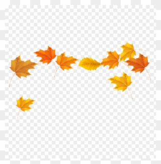 Free Png Download Fall Leaves Picture Clipart Png Photo - Fall Leaves Transparent Background
