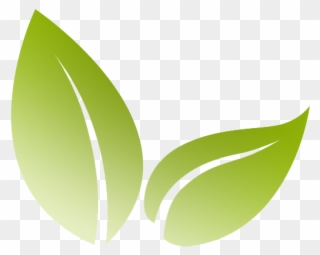 564 X 564 Png 84kb - Transparent Eco Logo Clipart