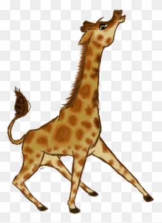 Giraffe , Png Download - Giraffe Clipart