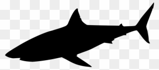 Silhouette Requin Png - Shark Silhouette Png Clipart