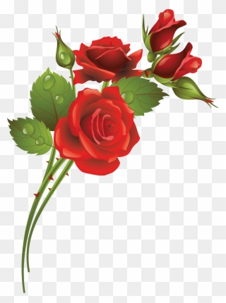 Garden Roses Flower Clip Art - Rose Frame - Png Download