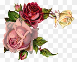 Free Digital Flower Pink Rose Corner Design - Vintage Flower Graphic Png Clipart