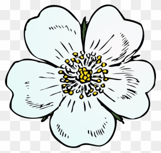 How To Set Use White Rose Icon Png - Apple Blossom Clip Art Transparent Png