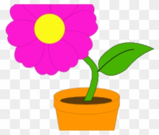 Flower In A Pot Clipart - Png Download