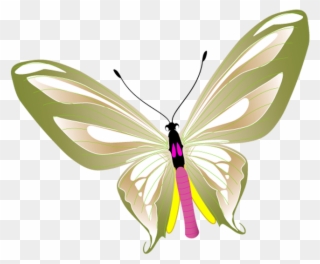 10 Temmuz 2018, - Butterfly Png Vector Clipart