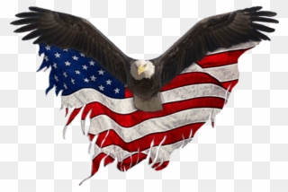 Eagle Png Flag - Eagle United States Png Clipart