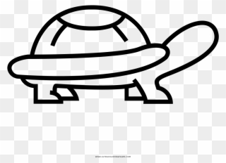 Schildkröte Ausmalbilder - Drawing Clipart