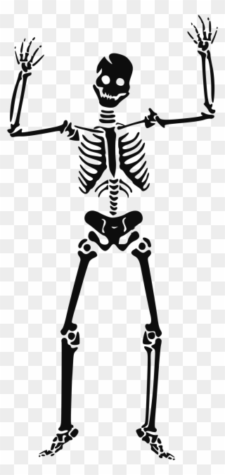 Skeleton Clipart Transparent - Halloween Skeleton Clipart - Png Download