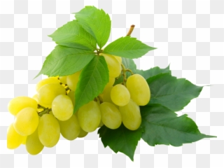 Grapes Clipart Single Grape - Grapes Transparent Png