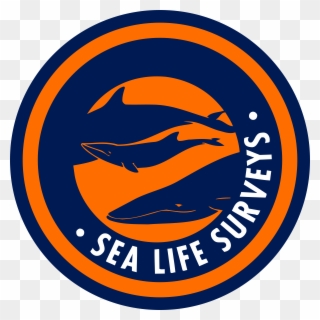 Sea Life Surveys Logo Png Transparent - Steven Universe Sapphire Gemstone Clipart