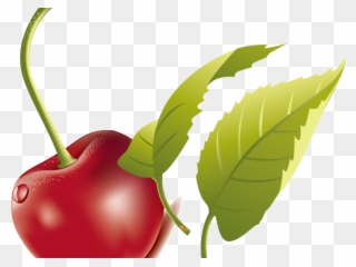 Green Leaves Clipart Cherry Leaf - Cherry - Png Download