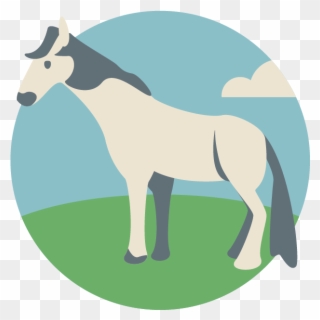 New Forest Pony - Przewalski's Horse Clipart