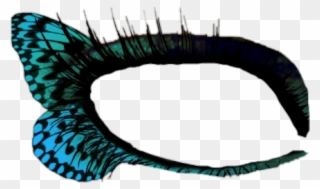 Report Abuse - Eye Makeup Butterfly Clipart