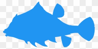 Download Png Clipart