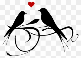 #birds #love #silhouette #black #couple #animal #valentine - Love Birds Clipart Black And White - Png Download