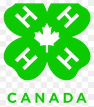 4 H Canada Logo Clipart