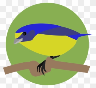 Mountain Bluebird Clipart