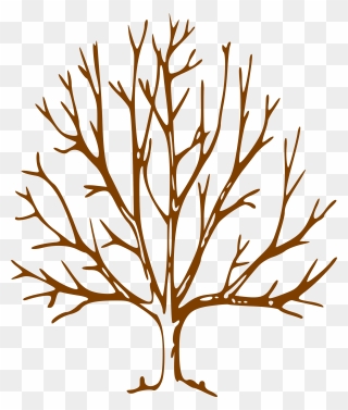 Simple Bare Tree Clipart Image Info - Tree With Bare Branches - Png Download
