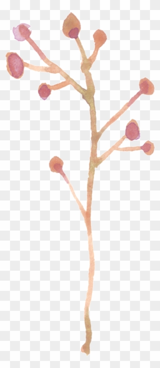 Twig Vector Branch - Twig Clipart
