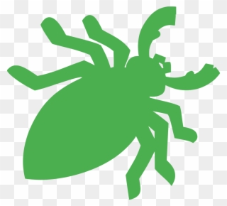 Download Png - Insect Clipart