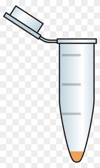 Eppendorf Png Clipart