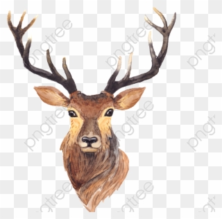 Simple Transparent Antlers Png Format Image With Size - Deer Art Clipart