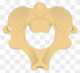 Illustration Clipart