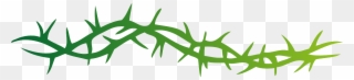 Thorns Pointed Spine Arbor Png Image - Thorns Clip Art Transparent Png