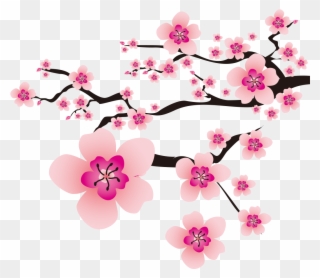 Download 880 Background Hitam Sakura Gratis Terbaik