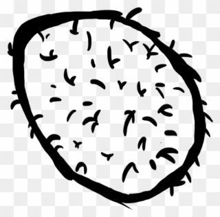 Circle Clipart
