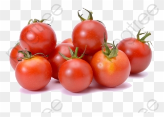 Cherry Tomato Clipart - Cherry Tomatoes Png Transparent Png