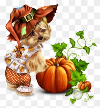 Little Pumpkin Yorkie - Yorkshire Terrier Clipart