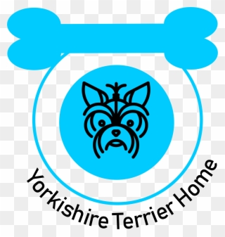 Yorkshire Terrier Icon Png Clipart