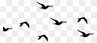 Bird Flock Png - Silhouette Birds Clipart Black And White Transparent Png