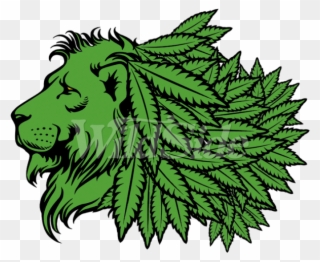 Green Lion Head With Marijuana Leaf Mane - Masai Lion Clipart