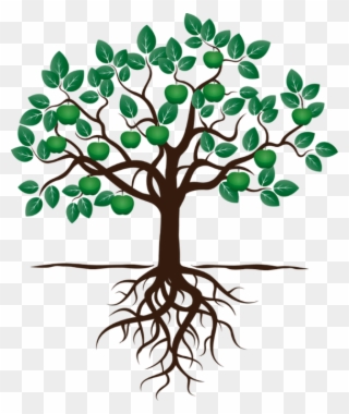 Social Work Opportunities - Drawing Of Apple Tree With Roots Clipart