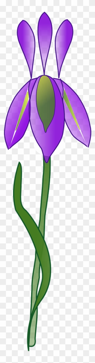 Irises Clipart