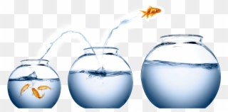 It's Easy To Treat Wealth A Bit Like Being A Koi In - Fish Jumping From One Bowl To Another Clipart