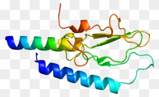 Protein Glp1r Pdb 3c59 - Glucagon-like Peptide-1 Clipart