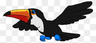 Toucan Clipart Real - Toucan - Png Download